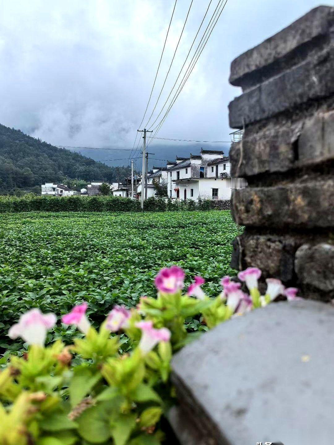 我小姨退休后，楼下那帮老姐妹，每天准时在花坛边上扎堆，聊得热火朝天。我小姨一眼