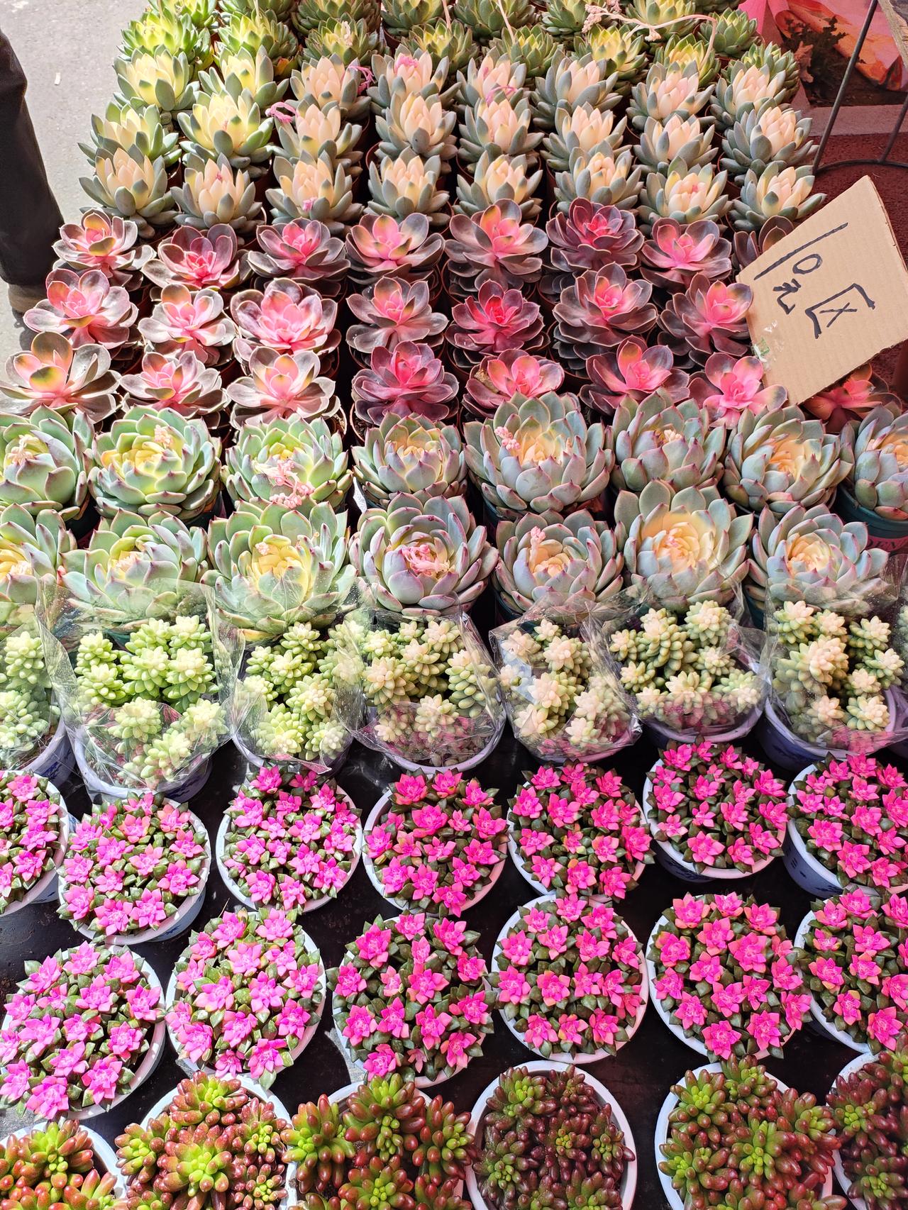 晚年最大的错觉：住儿女家是享福，其实是寄人篱下人到晚年，总觉得“跟着孩子住