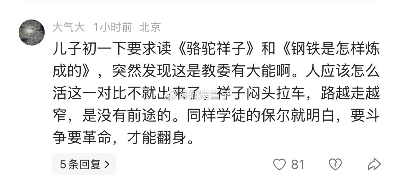 这个逻辑我觉得不太对，让你读《祥子》，是让你习惯吃苦，让你读《钢铁》，是让你还耐