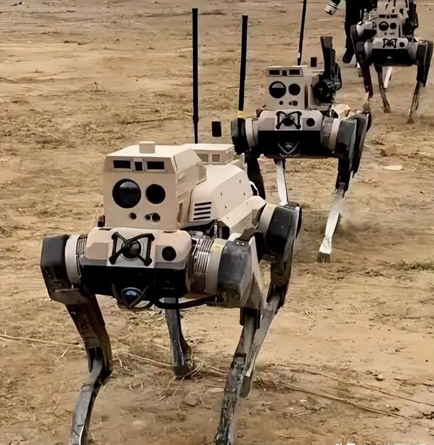 印度崩了：边境士兵在雪地发抖，中国却派出机器狼？这不公平！想象一下这个画面