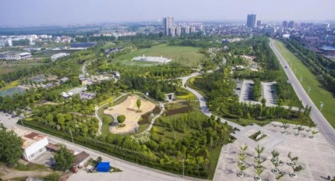 行走在石首市城区街头,道路两侧绿树如盖,花草,灌木和绿色立体景观相