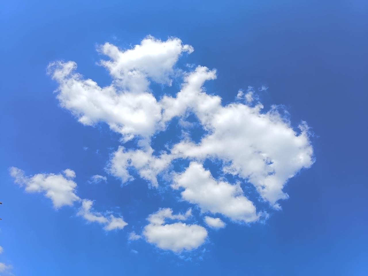儿媳从来不在公婆面前表露出一丝一毫对公婆的不满，她只会在背后对儿子说，让儿子出面