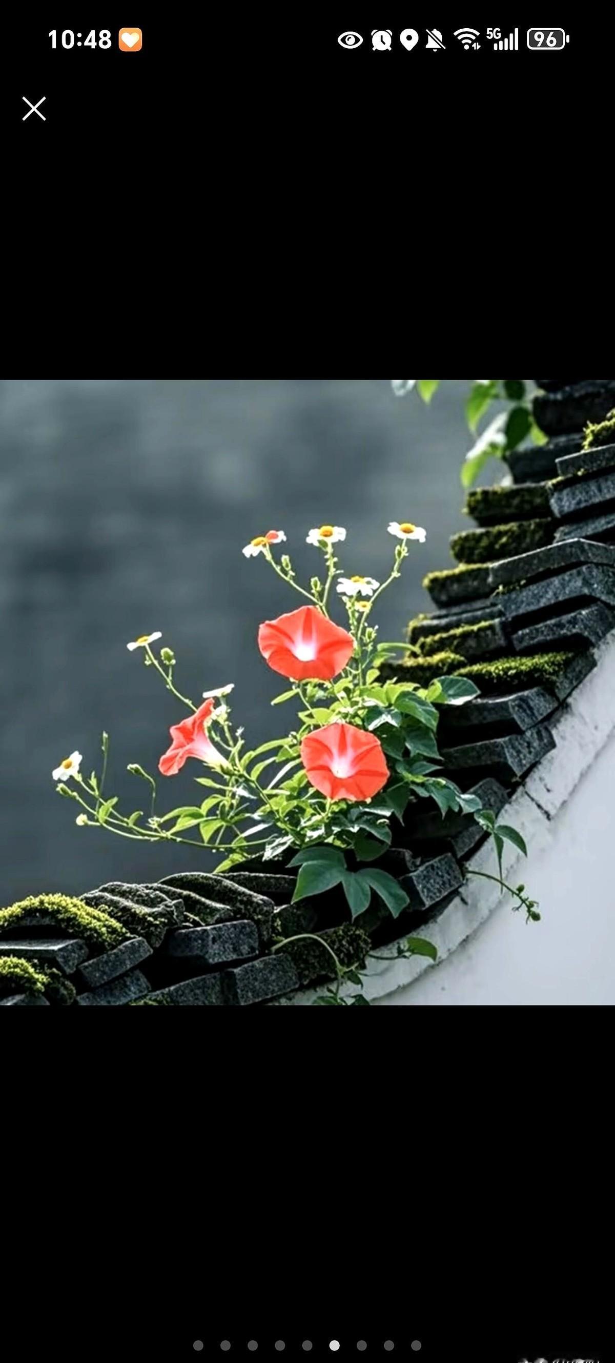 妈妈的电话总在出发前响三次，第一条是“记得吃早饭”，第二条是“别坐黑车”，第三条