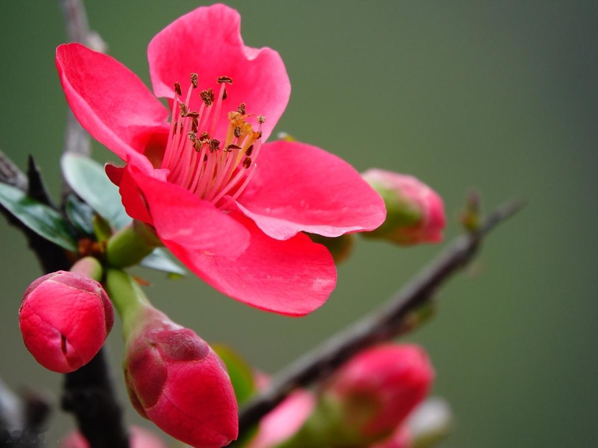 经历一些事，才能看清一些人；看清一些人，才能理解一些情。天会下雨，人会变，世事难