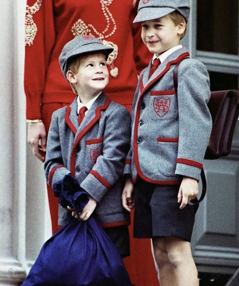 威廉年轻时长得还可以，虽然照戴安娜比就逊色了些，哈里就很一般。而威廉妻子凯特