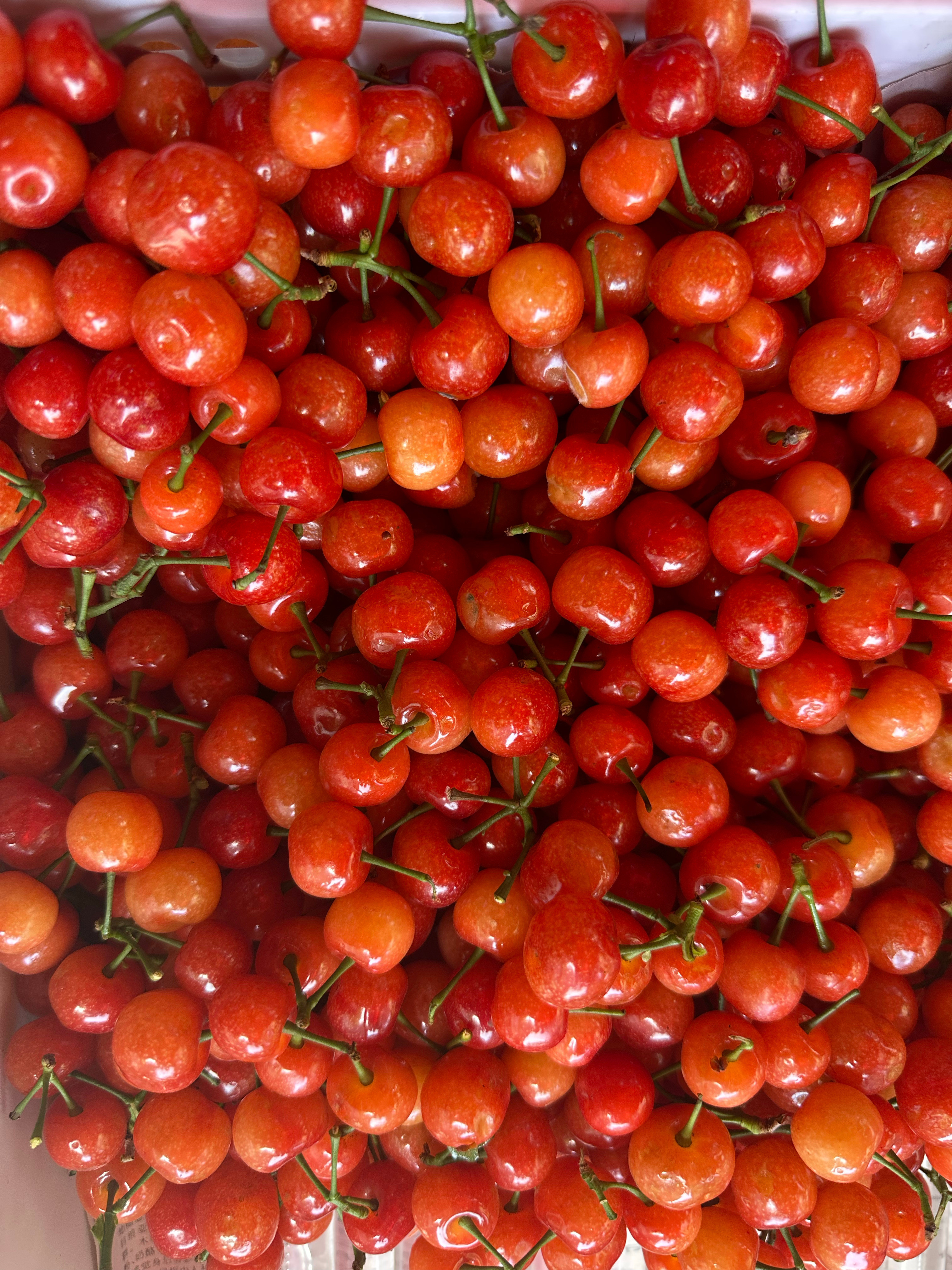 本地樱桃出来了🍒感觉这个时候还有点酸不太值25一斤