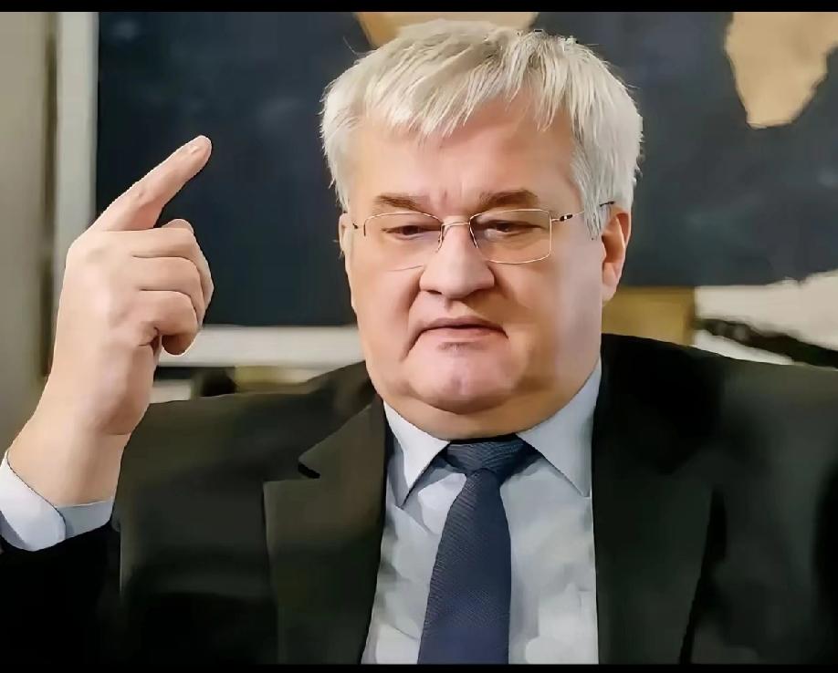  买俄油者无缘乌重建？乌外长昏招频出，网友：哀其不幸怒其不争乌克兰外长安德烈·