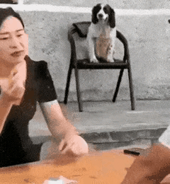 因为狗狗抓烂了沙发，女主人把狗狗揍了一顿，幸亏男主人赶来拦下，要不然还要接着