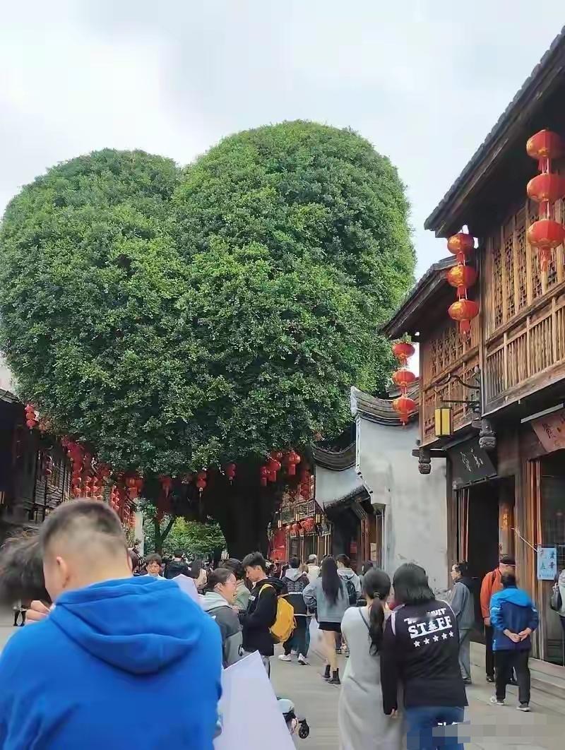 刷到一位朋友的经历，想和退休的伙伴们聊聊。他说，跟团？早上6点集合，导游举着