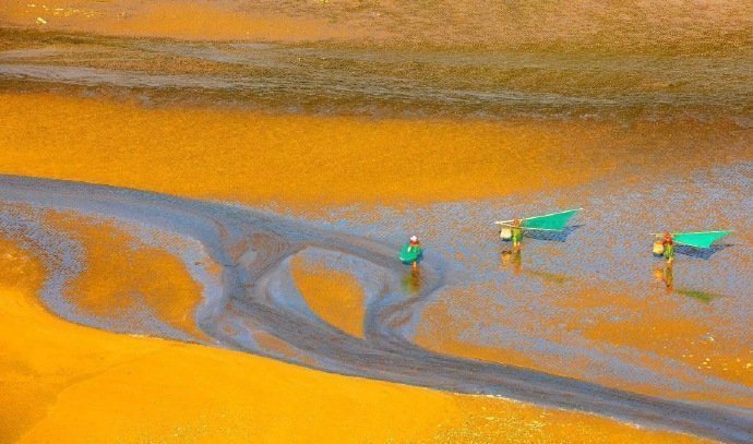 霞浦，清早或傍晚，每当阳光穿过云层，无论是海面还是沙滩，都铺上了一层金灿灿的色彩