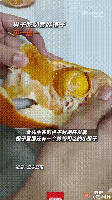 今天刷到一个沈阳老哥发的视频，真挺稀奇。他剥了个橙子，结果里面居然有个带皮的小橙