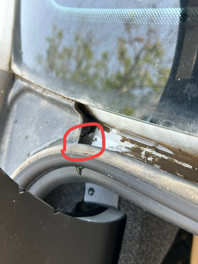 后备箱上面的排水槽有积水洗车发现这里面有积水排不出去，是不是车一直停树下虫子尸