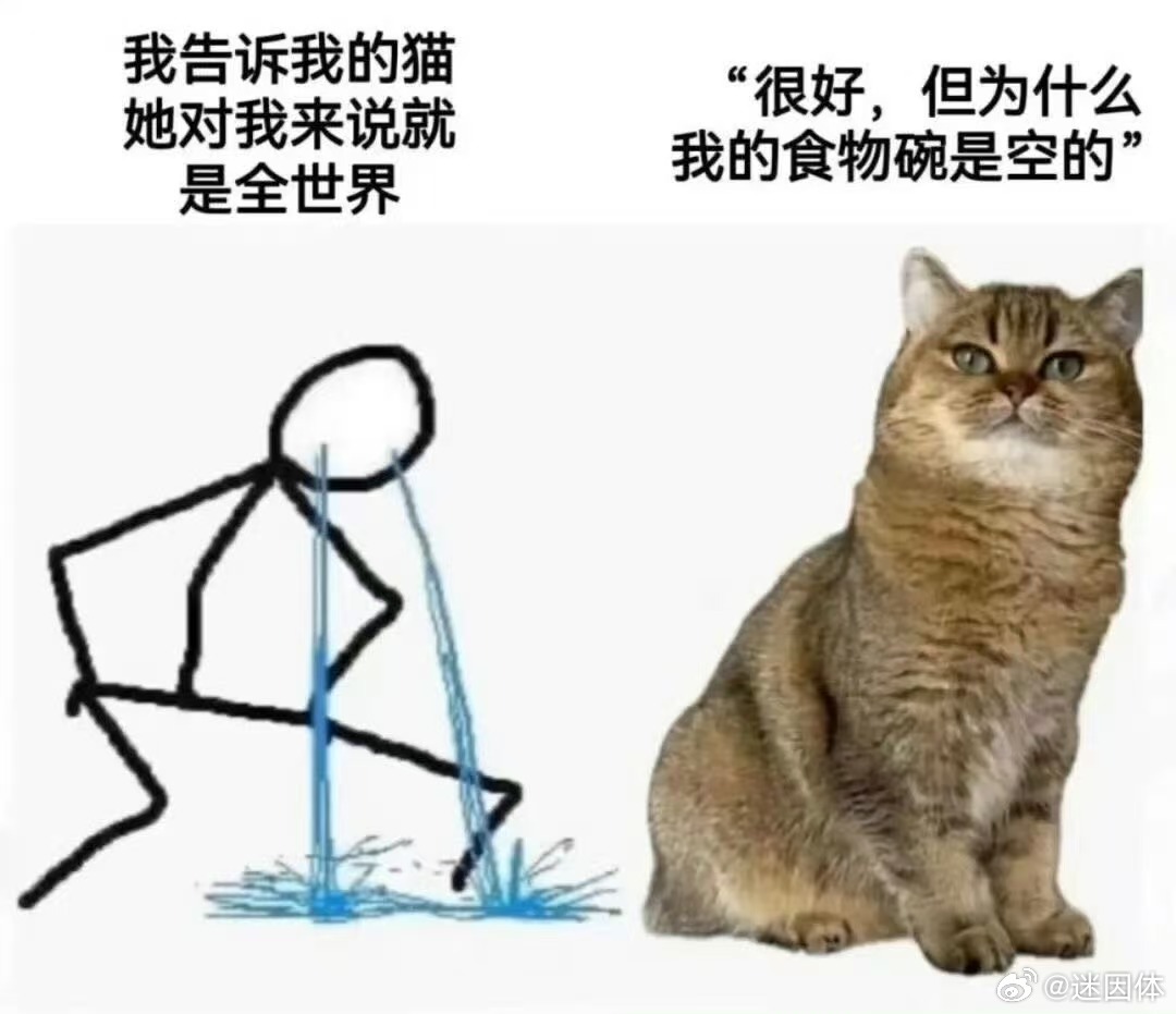 放饭memes迷译图