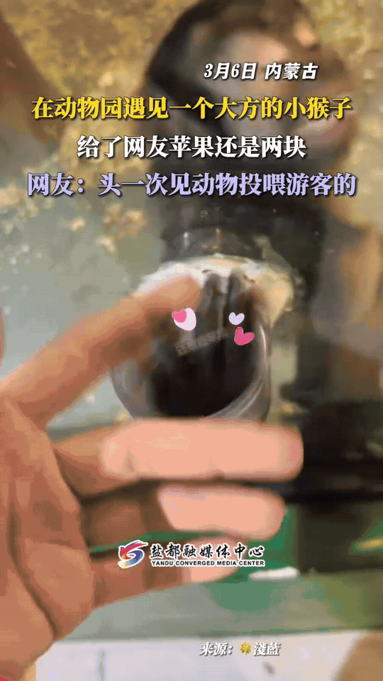 万万没有想到，内蒙古，一女子去动物园看猴，期间就发现一只单独关着的小猴子特别可爱