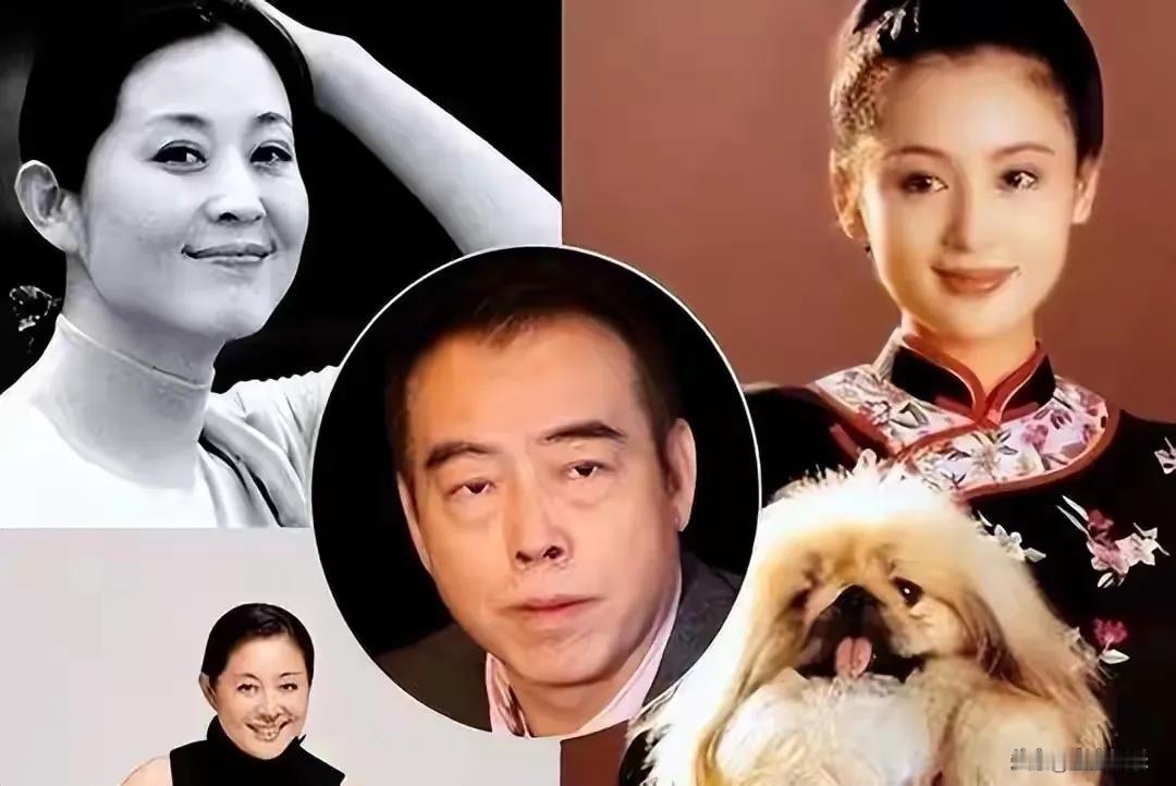 倪萍，这位在荧幕上留下诸多经典形象的主持人，感情之路却满是坎坷，历经5个男人。在