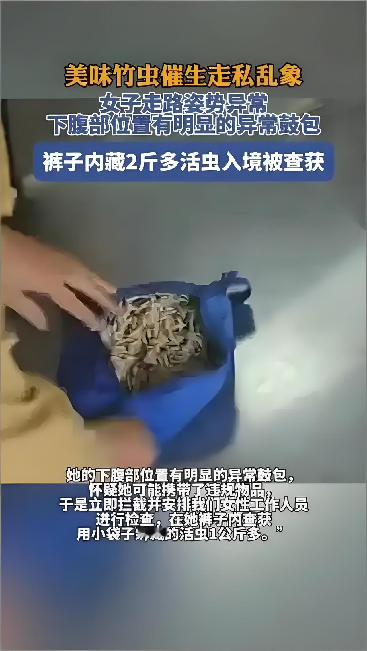 真的太恶心了！为了赚钱什么办法都想得出来，看得我浑身难受！近日，昆明海关所