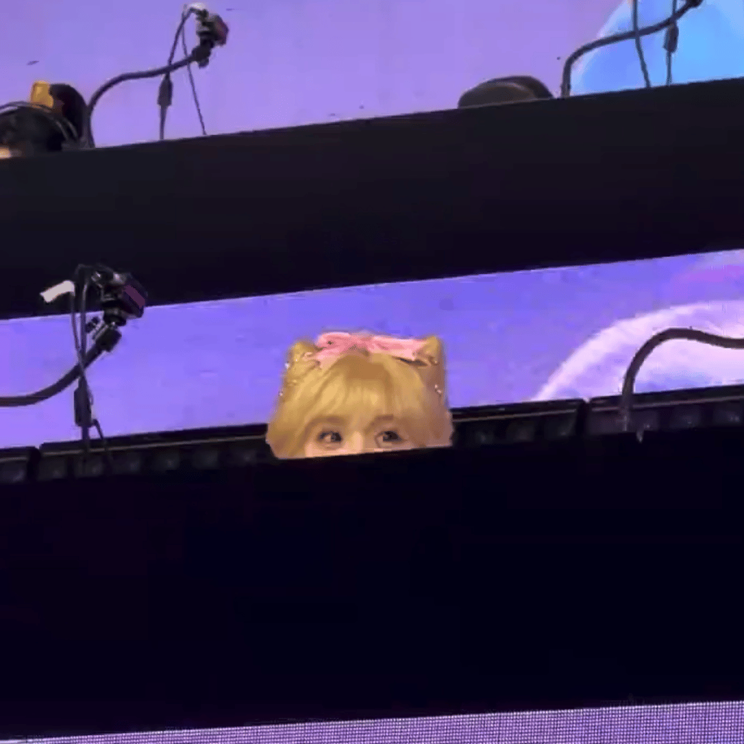 田曦薇｜猫猫探头田曦薇