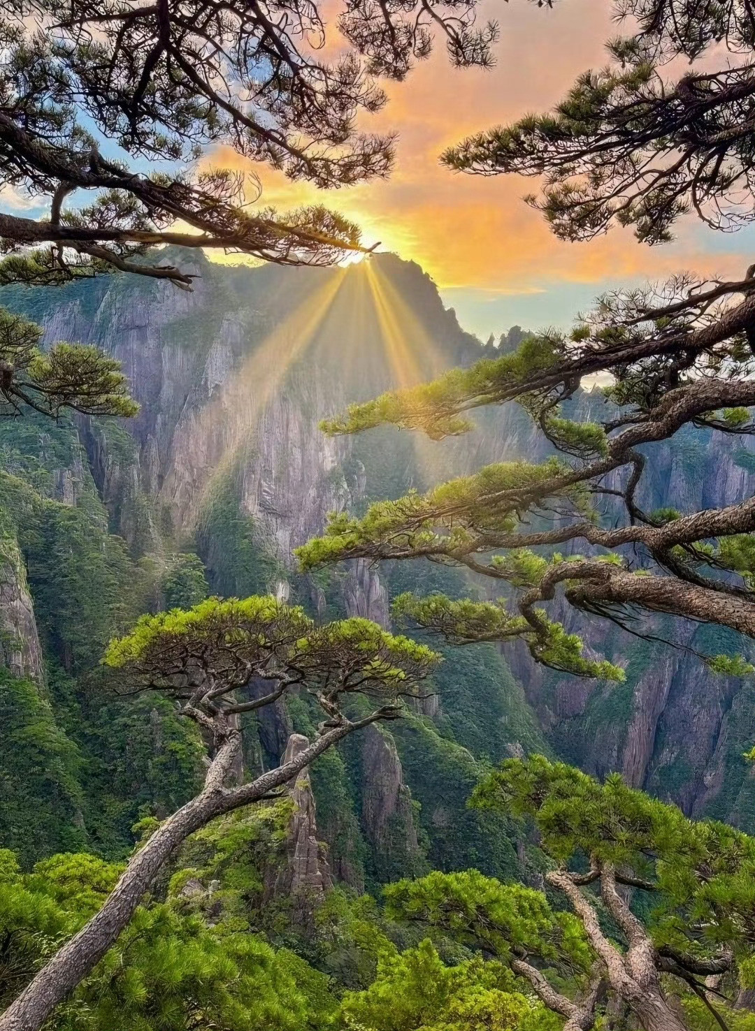 今天才发现，徐霞客没有骗我！登黄山天下无山！​​​