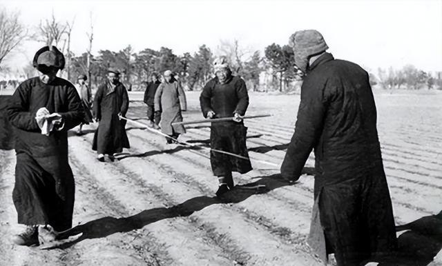 1936年，一位老大娘上山采野果。突然发现一大群苍蝇，在草丛上“嗡嗡嗡”盘旋，她