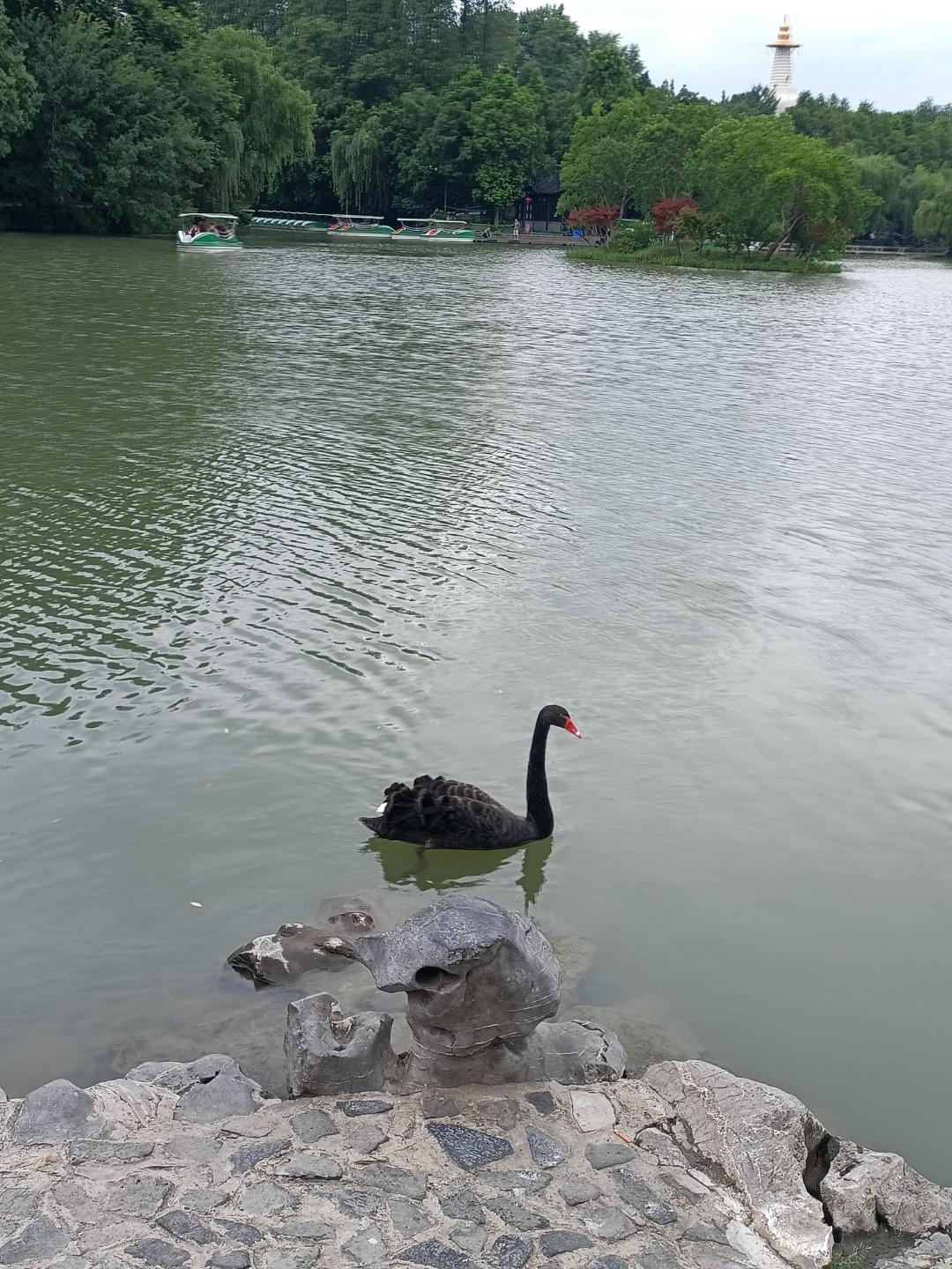 快意恩仇的白公胜楚国太子建逃到郑国，又因图谋不轨，被郑国人杀死。伍子胥带着