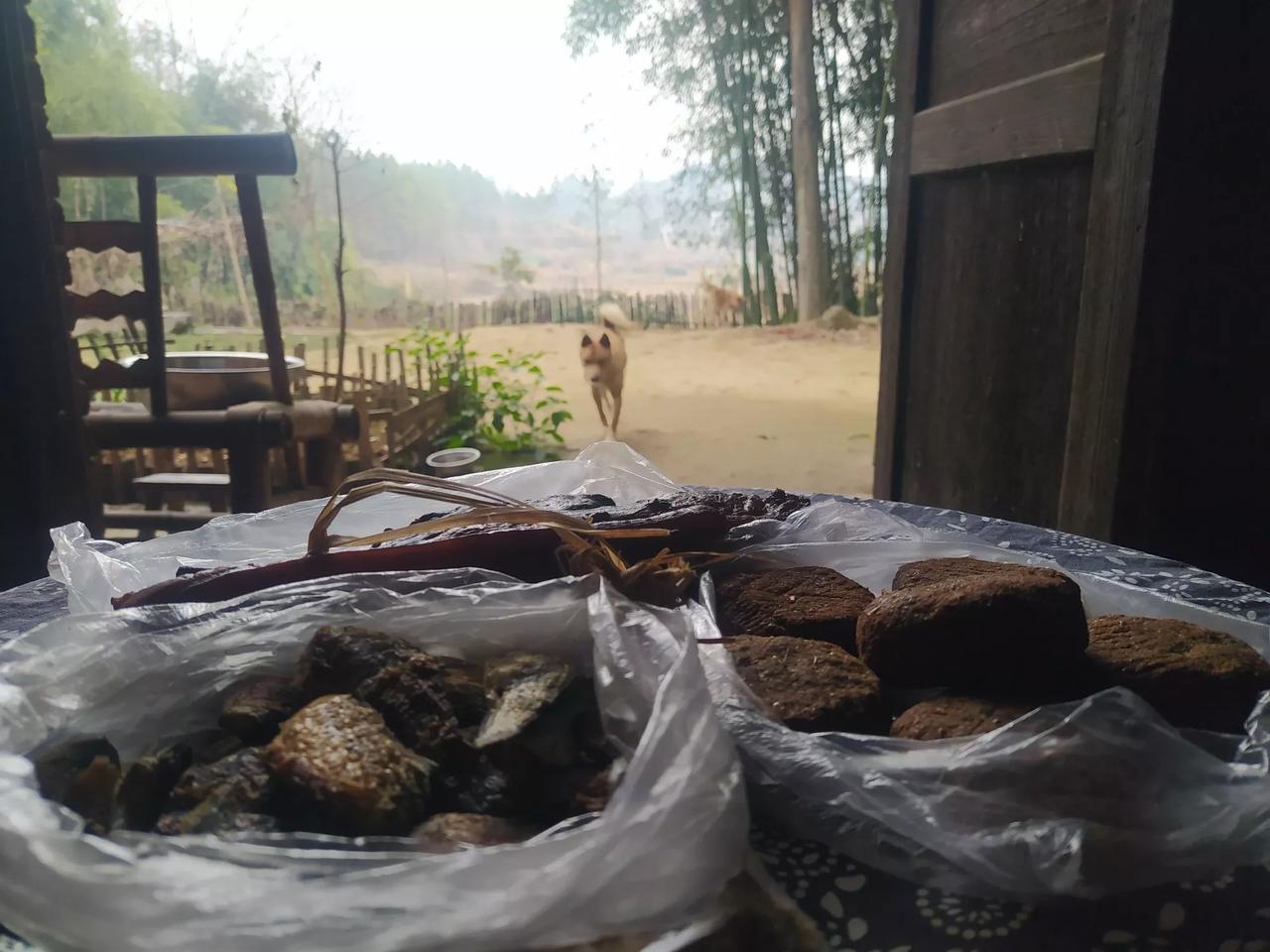 南方的农村真的是一个巨大的能量场哪怕是在万物萧瑟的冬季，南方的农村也处处透着