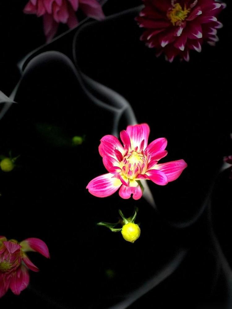 大四，女朋友肚子大了。换一般人，天都塌了。他妈怎么说？“领证，生，我退休正好带孙