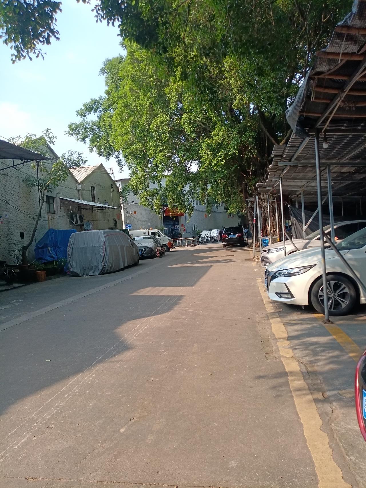 广州海珠区龙潭村万年东街龙三工业区，附近都是大大小小的工厂，龙三工业区里面停满了