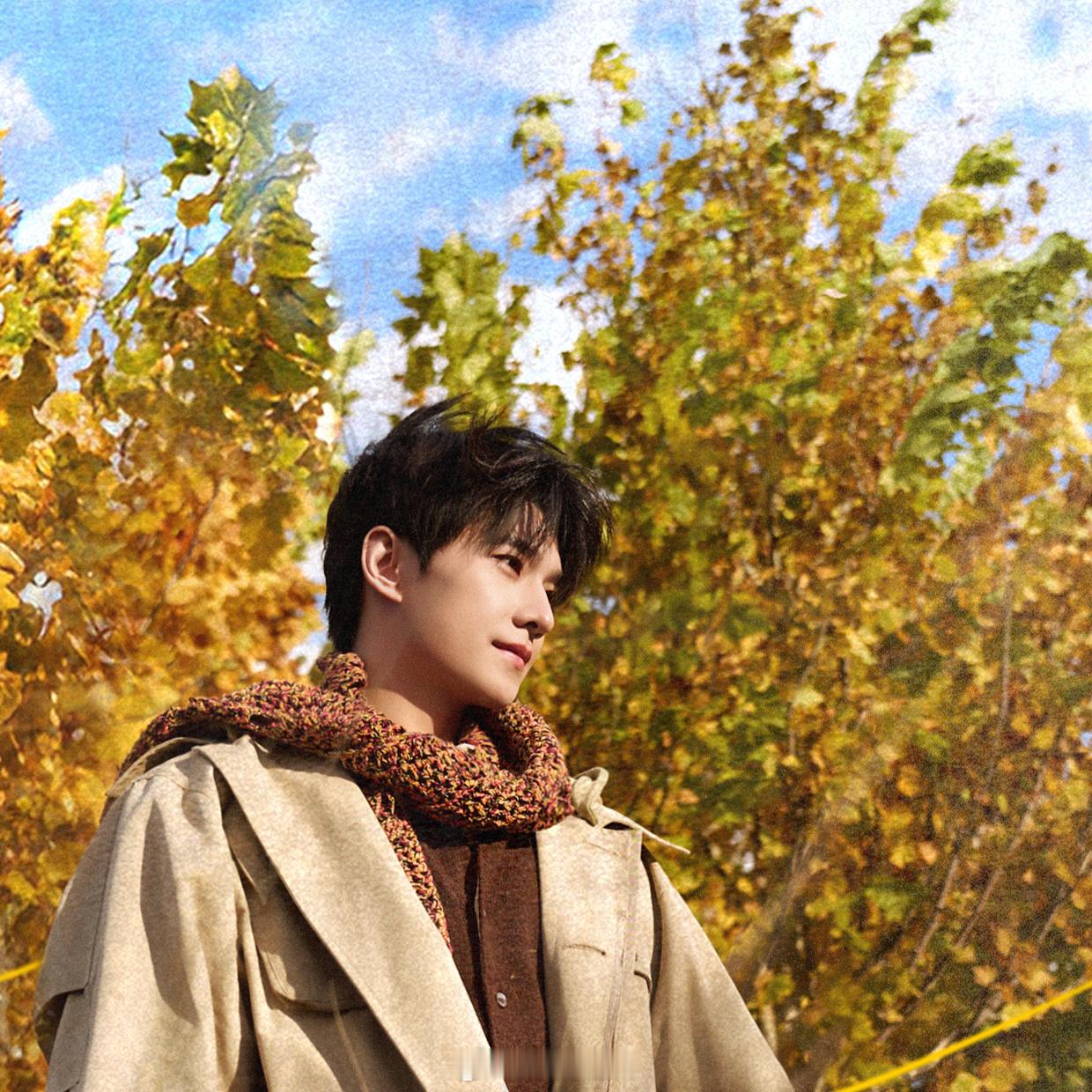 杨洋的年度总结，精炼而有份量。热播的凡人修仙传，待播的精品剧集雨霖铃，出席活动形