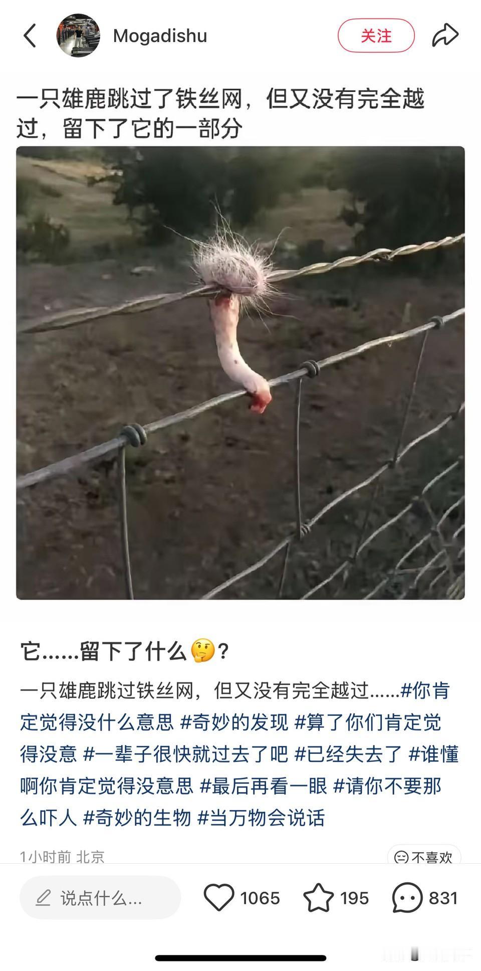 翻墙要格调[滑稽笑]