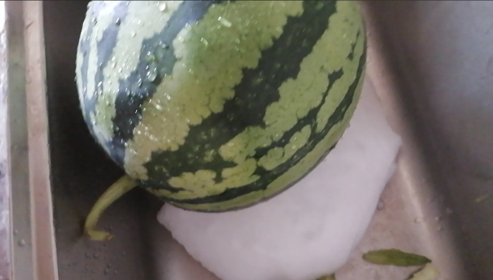 知道老宗的母亲还在世后，感觉很多不合理的地方也都合理了！大胆揣测一下，新冒出来