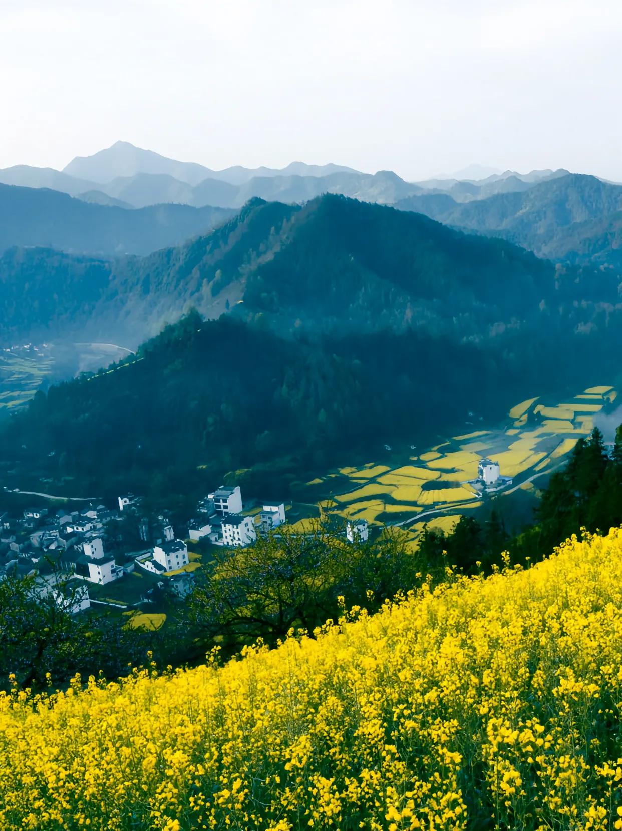 和一位高二的小朋友聊天，小朋友说：“我考不上南京大学和东南大学，我想上南医大，听