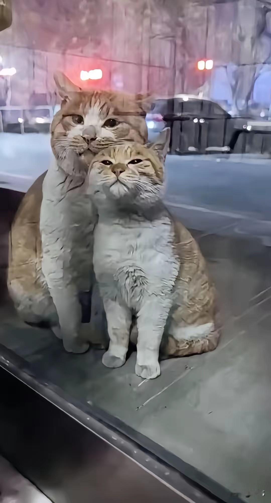 泪目了！这天夜里，一位小姐姐和朋友一起吃夜宵，她们坐在一个靠窗的位置，偶然间她看