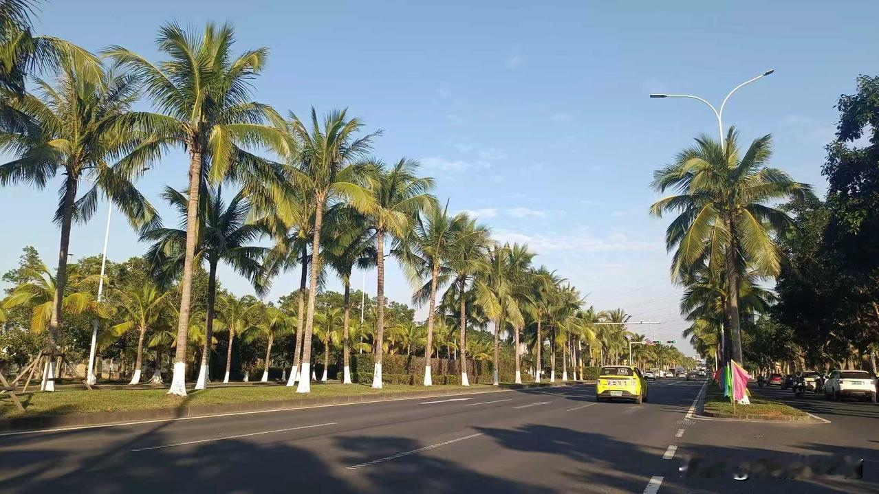 海口最长的道路是哪条？海口的地盘是东西长，南北窄，沿着琼州海峡海岸线呈狭长形