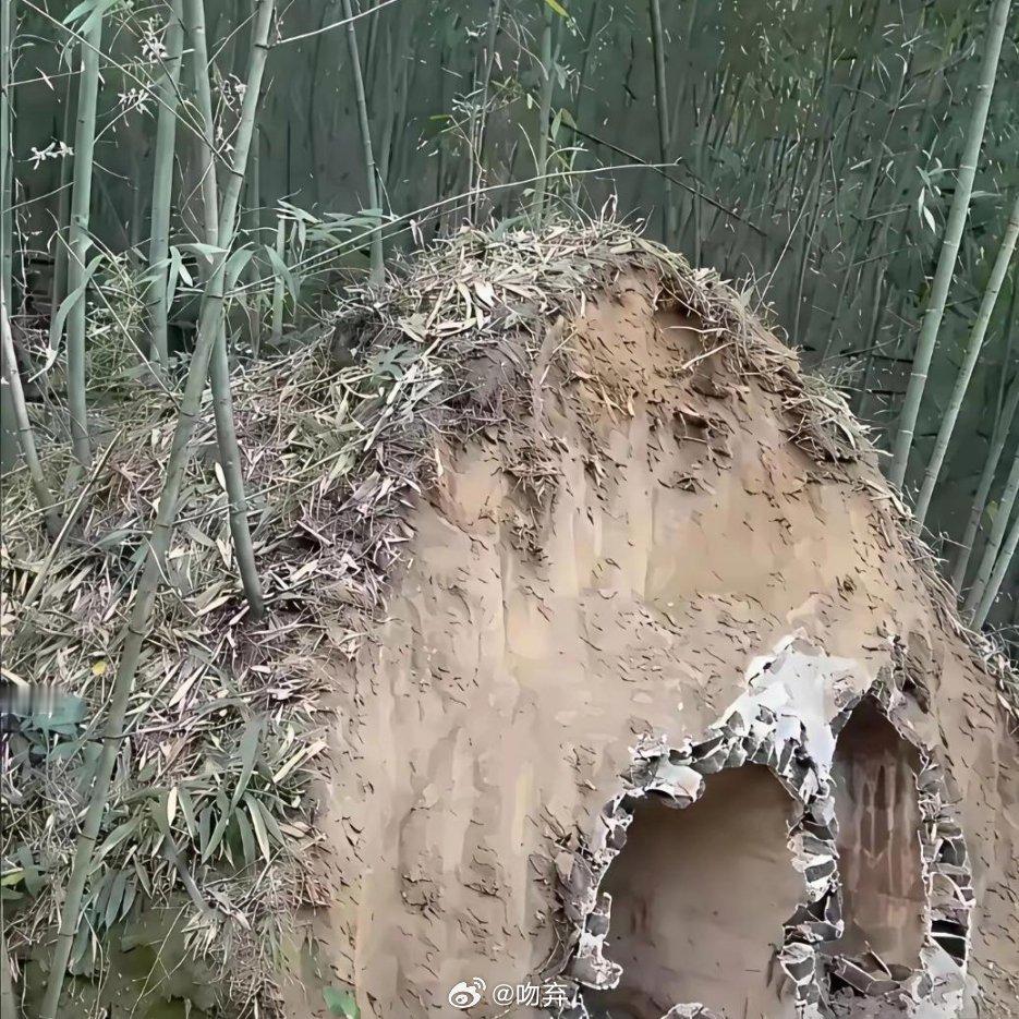 现在跑还来得及吗