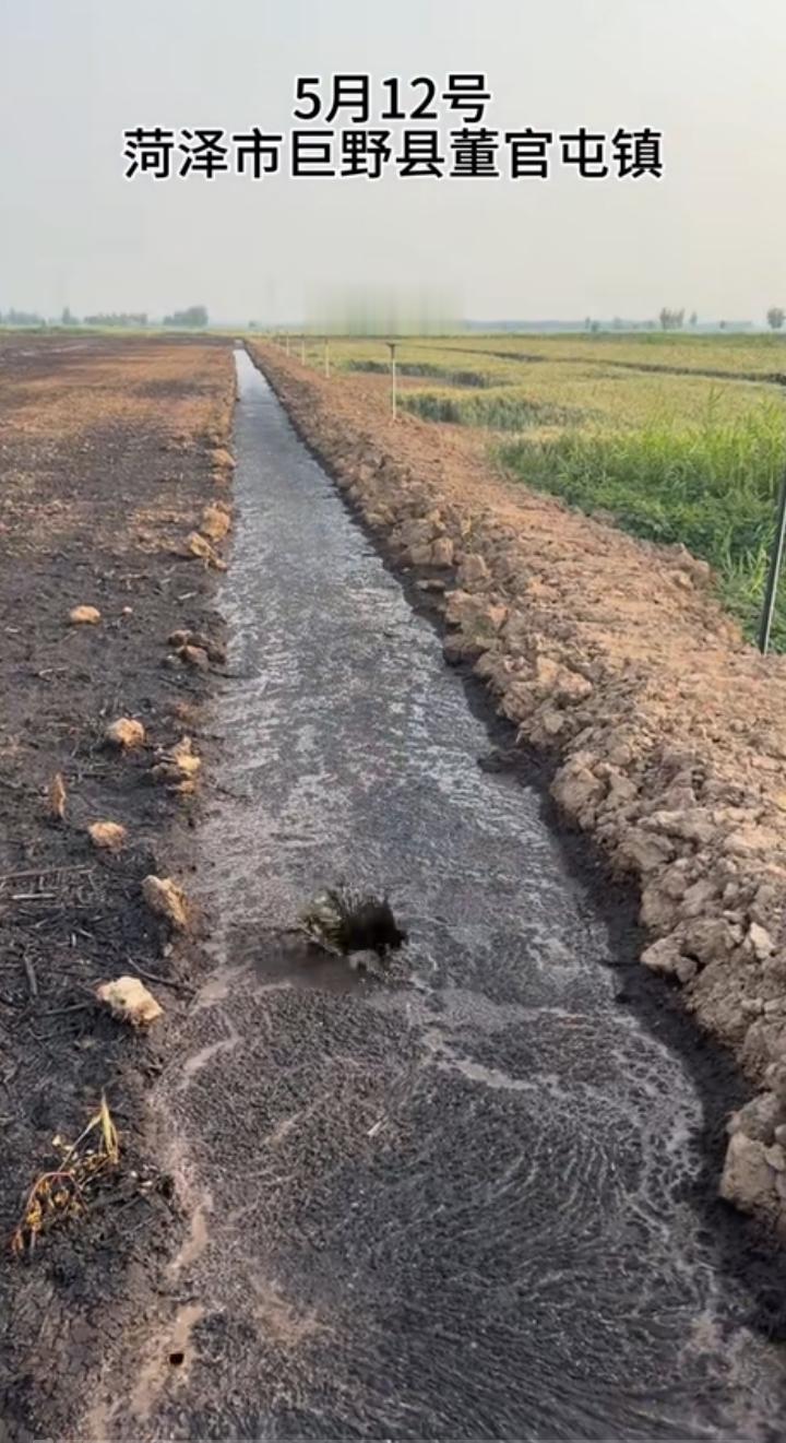 污染越治理越严重！一网友通过无人机发现山东菏泽一地沟里水都是黑