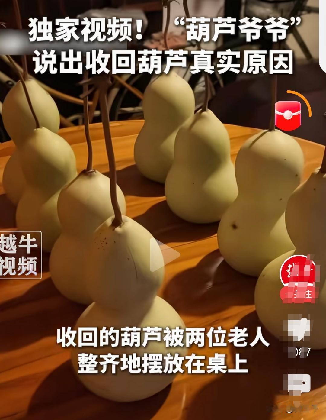 7个葫芦娃被摘了，本来老爷子打算再挂30天挂到“霜降”才拿下来，无奈来打卡的人越