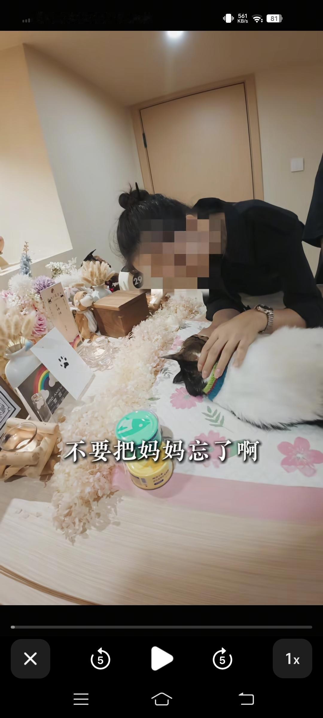 安徽合肥。女子养的宠物猫死了，抱着宠物猫伤心痛哭：“有一天妈妈走了，你过来接妈妈