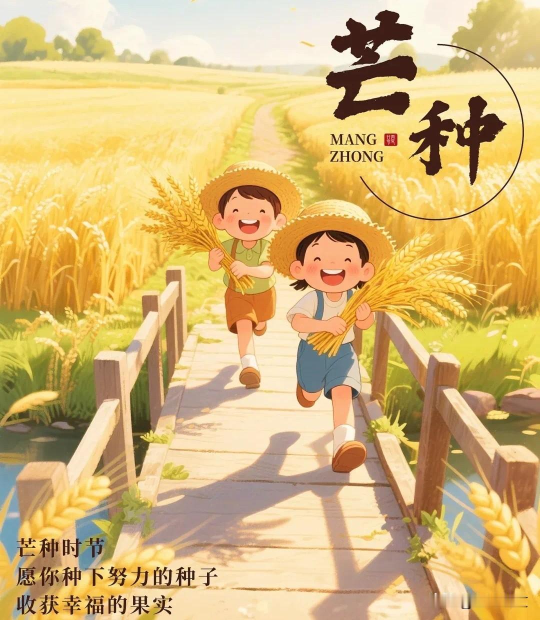 麦浪金黄，喜迎芒种！一年最忙的时节来了很多人都不知道，芒种是一年里最