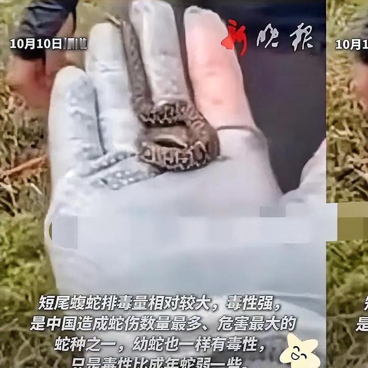 一男子登山时发现条“小蚯蚓”，觉得可爱便徒手抓起，全然不顾它张嘴欲咬。结果