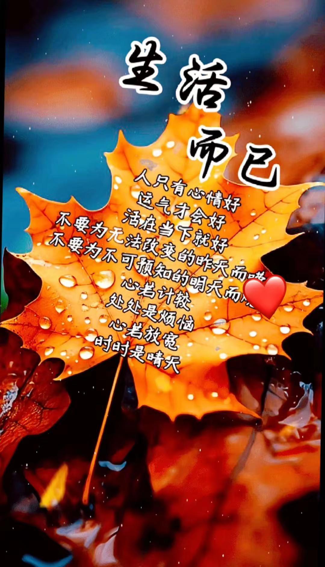 999999999🐲ya💃🏻tou🌞huizaibu知bu觉de去ban