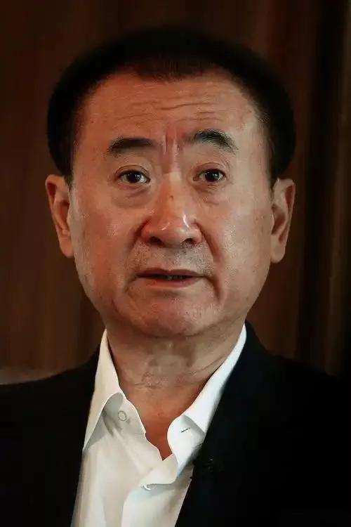 看到万达集团再次被强制执行超24亿，我感觉王健林后半生都得在还债的路上了！根