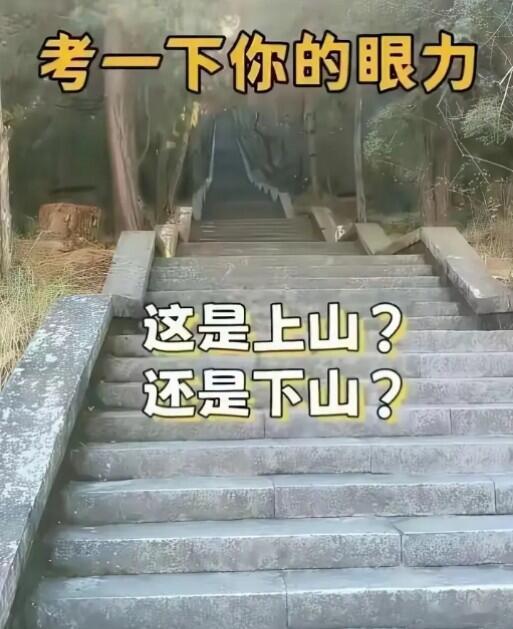 考考你的眼力，请问这是上山还是下山？