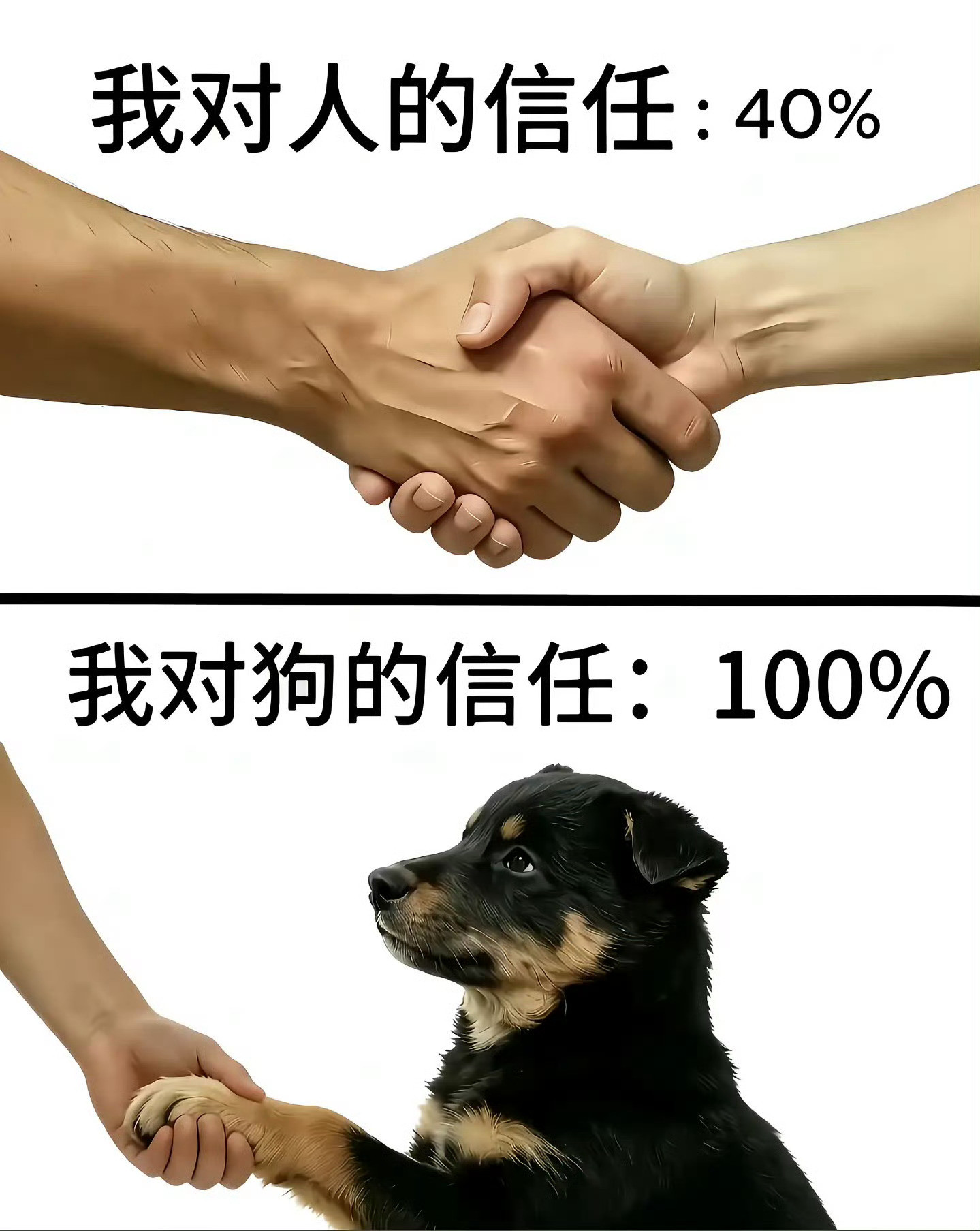 我对小狗的信任程度：​​​