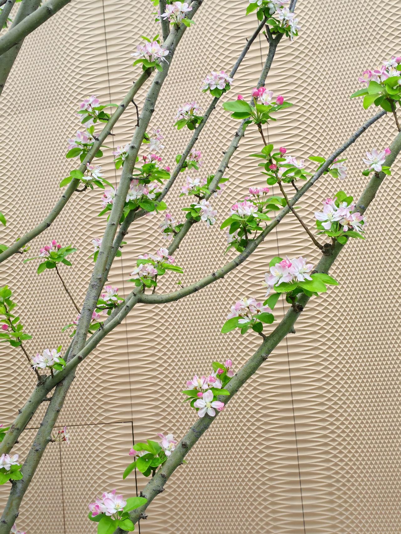 2、亲情局：家里的长辈组局，要去。3、商务局：能带来合作机会的，要去。4、