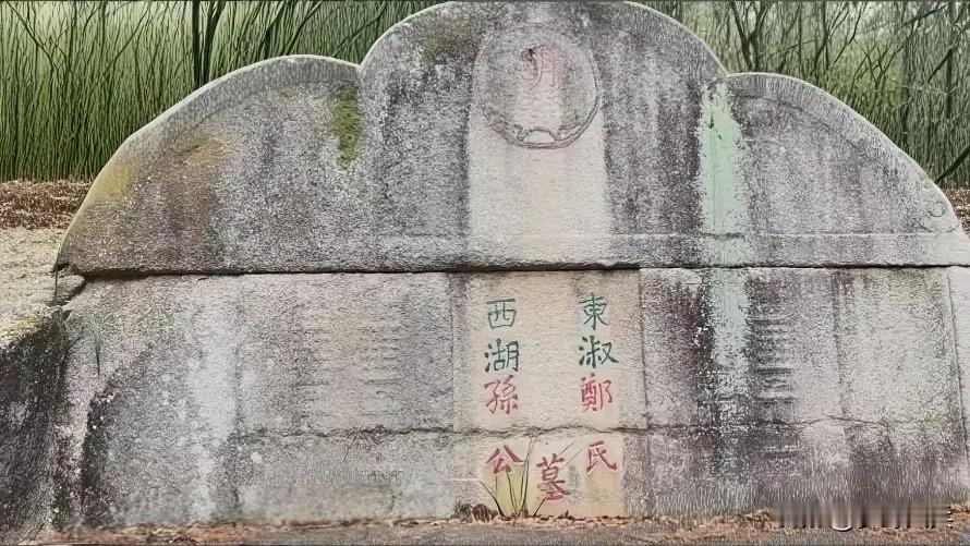 荒废田野里发现一座明代古墓，封土堆上的杂草长得比人还高，该墓至今巳有500多年历