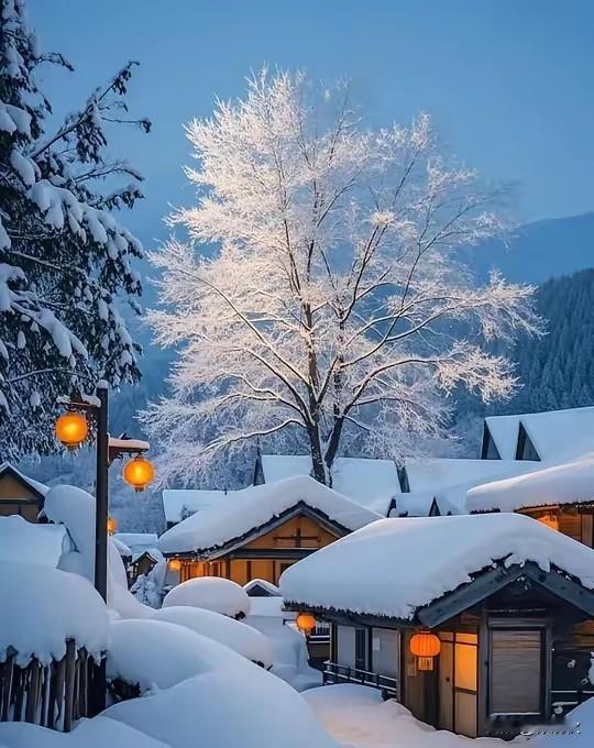 人间最美是金秋，冬天景色更不错。雪花飘飘漫天舞，把酒品味人烟火。