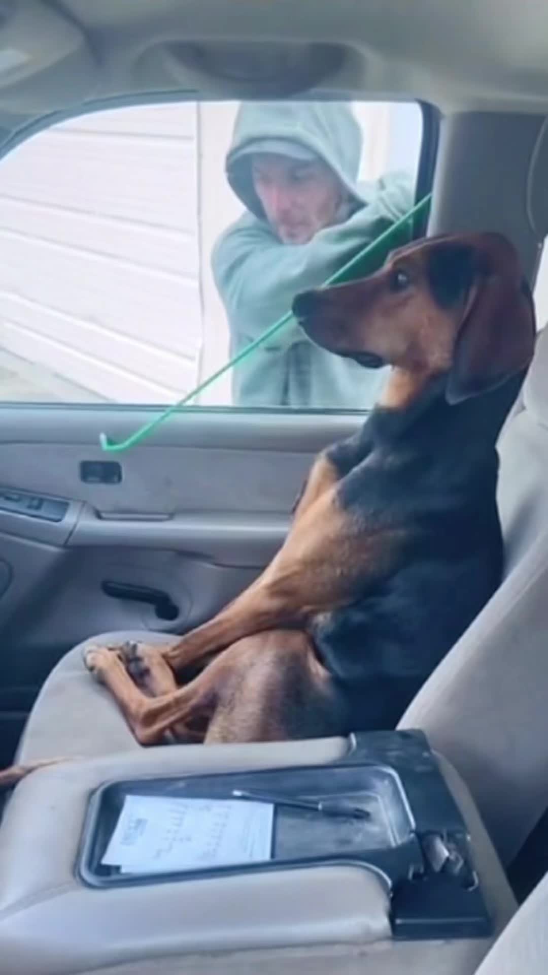 狗狗更难哄