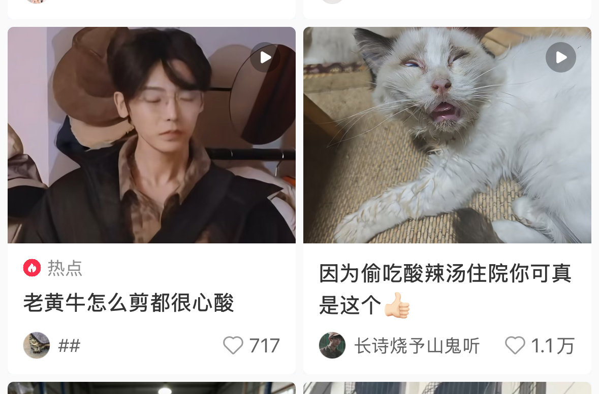 笑死我了小红书​