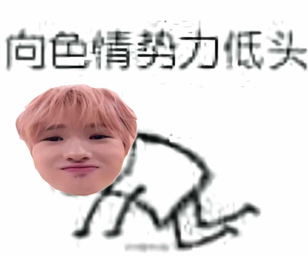 更新一则藤永小猪梗图藤永咲哉sakuyanctwish