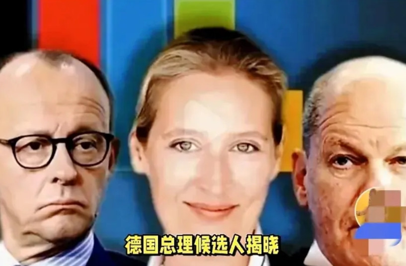 德国谁解决能源，移民，经济三块谁就是大选的胜利者！目前三大热门魏德尔，朔尔茨，